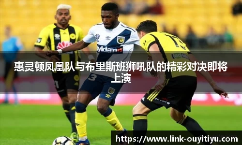 惠灵顿凤凰队与布里斯班狮吼队的精彩对决即将上演